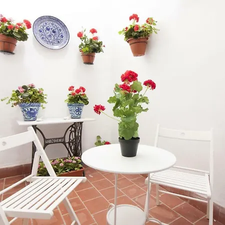Apartament Center Flat Comedias Street Malaga