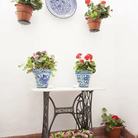 Apartamento Center Flat Comedias Street